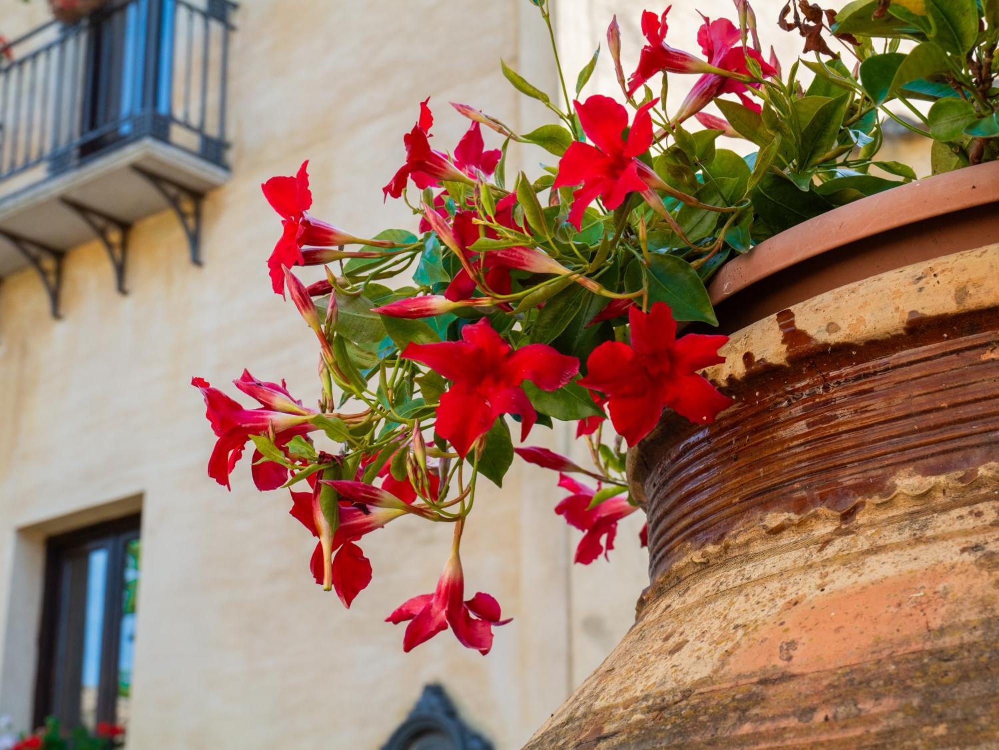 Agriturismo Baglio Fontana 布塞托·帕里佐罗 外观 照片